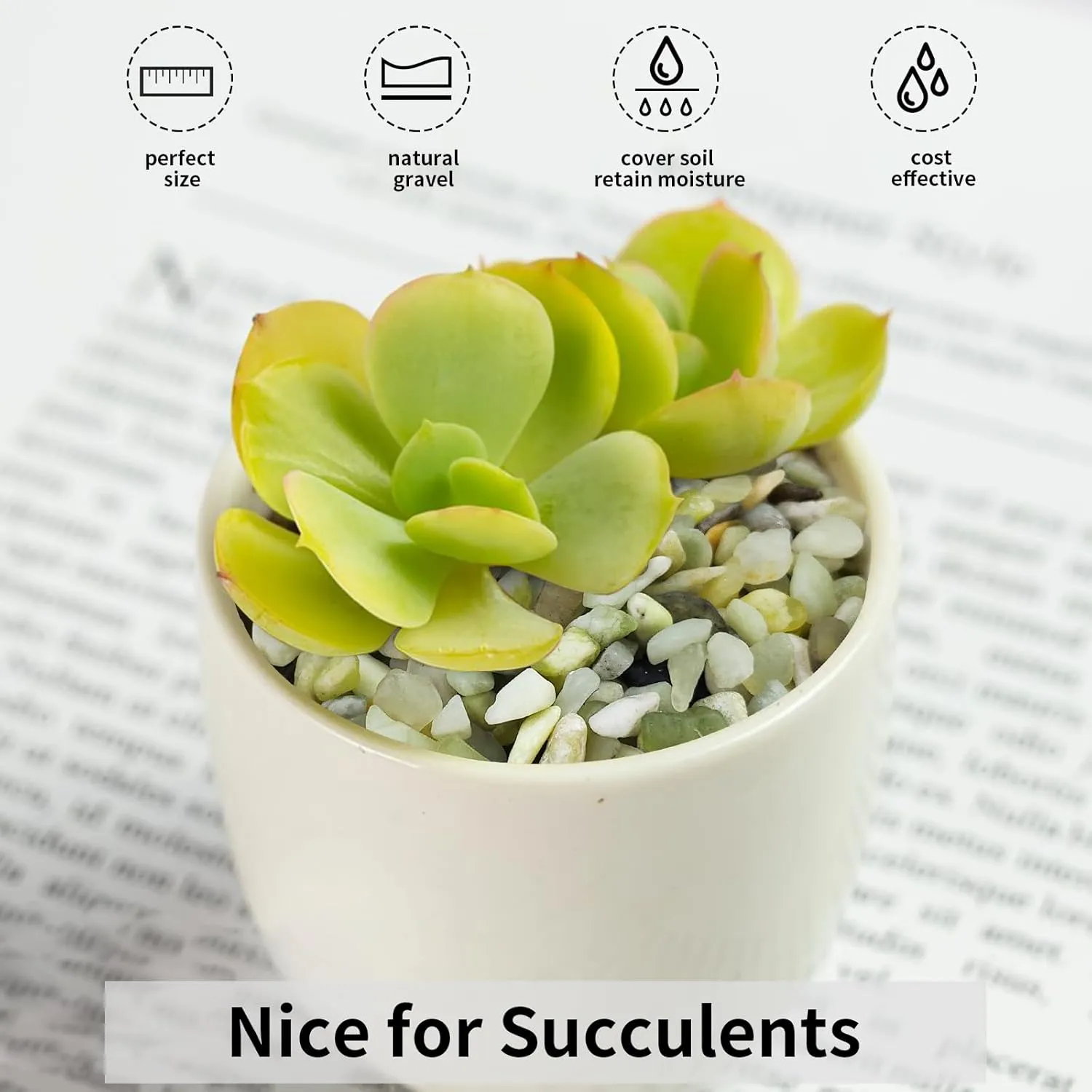 10 lbs Jade Gravel Small Pebbles for Plants, Decorative Rocks for Plants Succulents Bamboo Vases Landscaping and Potted Drainage Rocks