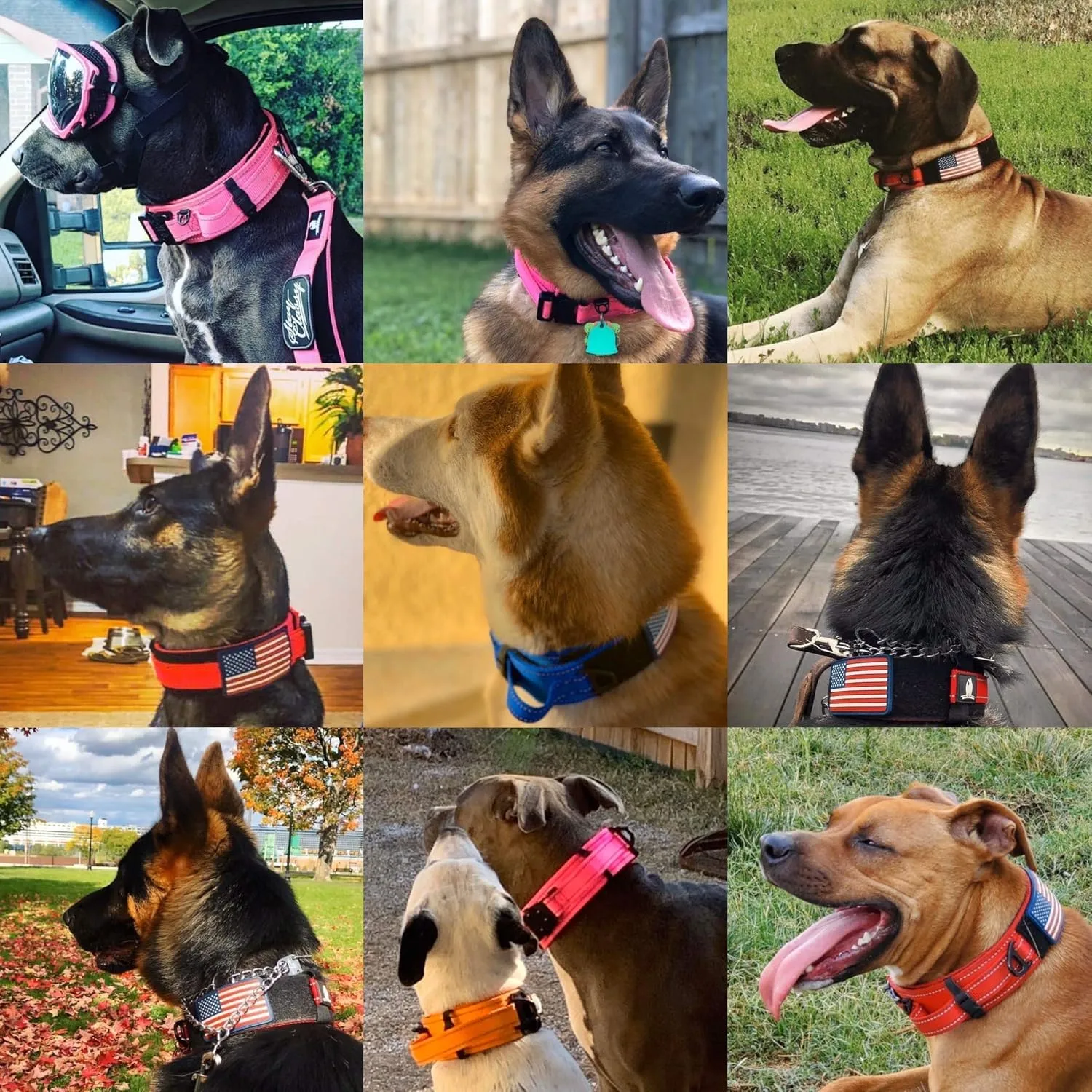 2-Inch Wide Tactical Dog Collar with Control Handle, Adjustable for Medium & Large Dogs, Military Style with Heavy-Duty Metal Buckle, USA Flag Patch & Customizable Name Plate, Training & Everyday Use