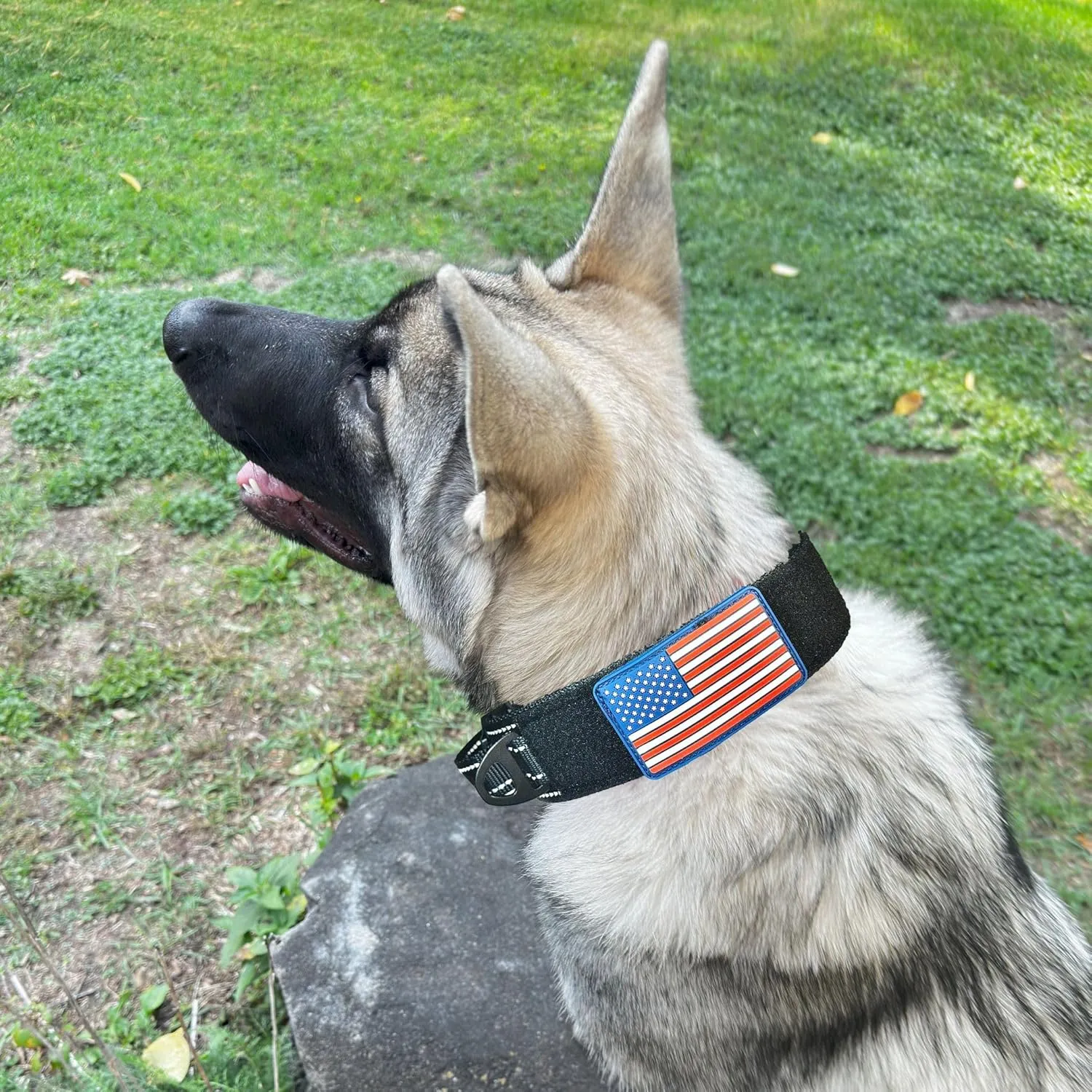 2-Inch Wide Tactical Dog Collar with Control Handle, Adjustable for Medium & Large Dogs, Military Style with Heavy-Duty Metal Buckle, USA Flag Patch & Customizable Name Plate, Training & Everyday Use