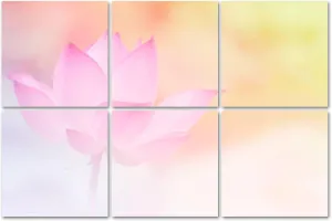 6 Pack Art Acoustic Panels Pink lotus select focus Self Adhesive Decorative Soundproof Wall Panels Sound Absorbing Panel 72"x48" for Office Home Studio