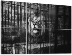 Art Acoustic Panels Self Adhesive King behind bars 6 Packs Decorative Soundproof Wall Panels Large Sound Absorbing Panels for Home Office 48"x72"