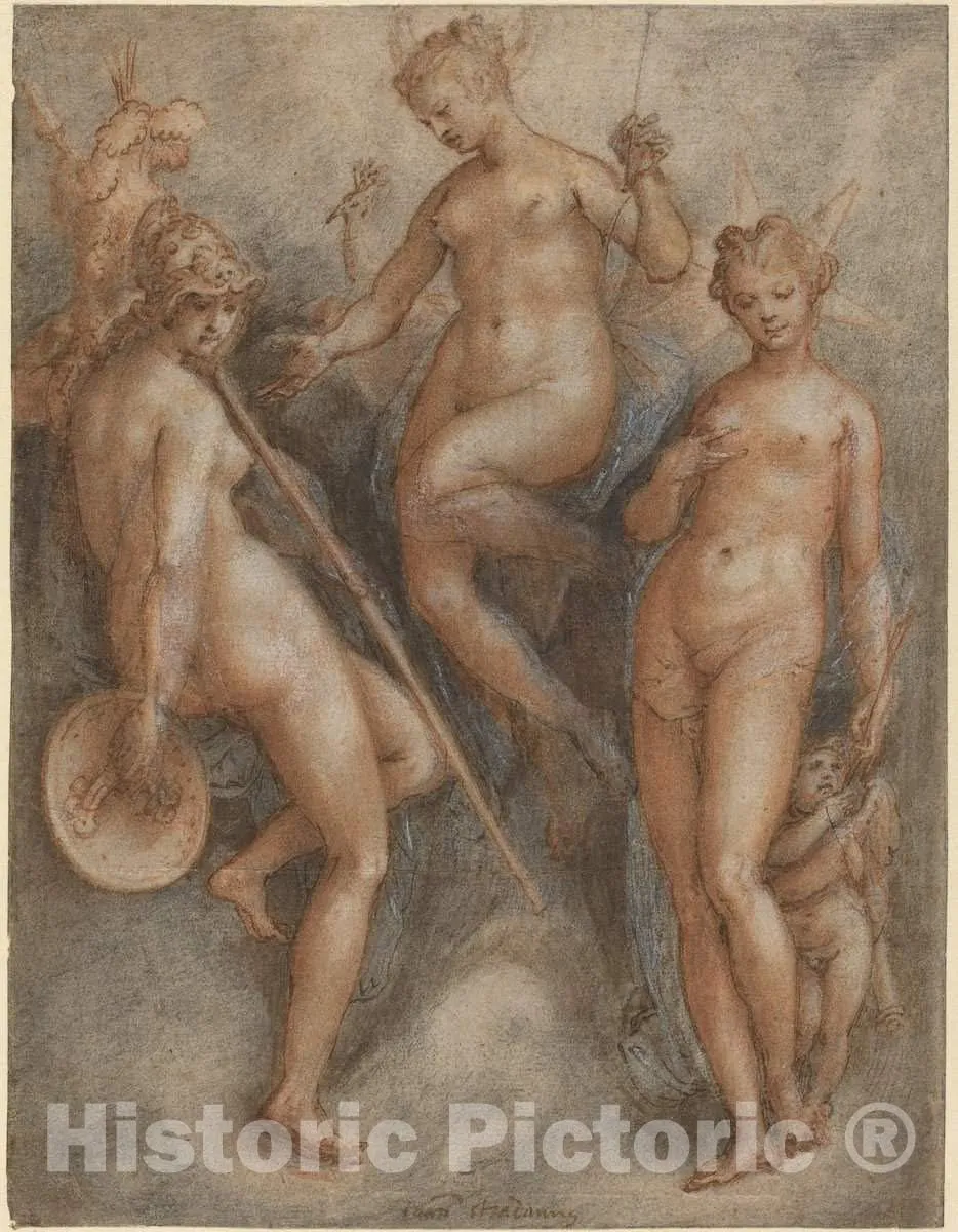 Art Print : Jan Van der Straet, Three Goddesses: Minerva, Juno and Venus, c. 1587, Historic Wall Décor : 11in x 14in