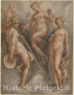 Art Print : Jan Van der Straet, Three Goddesses: Minerva, Juno and Venus, c. 1587, Historic Wall Décor : 11in x 14in