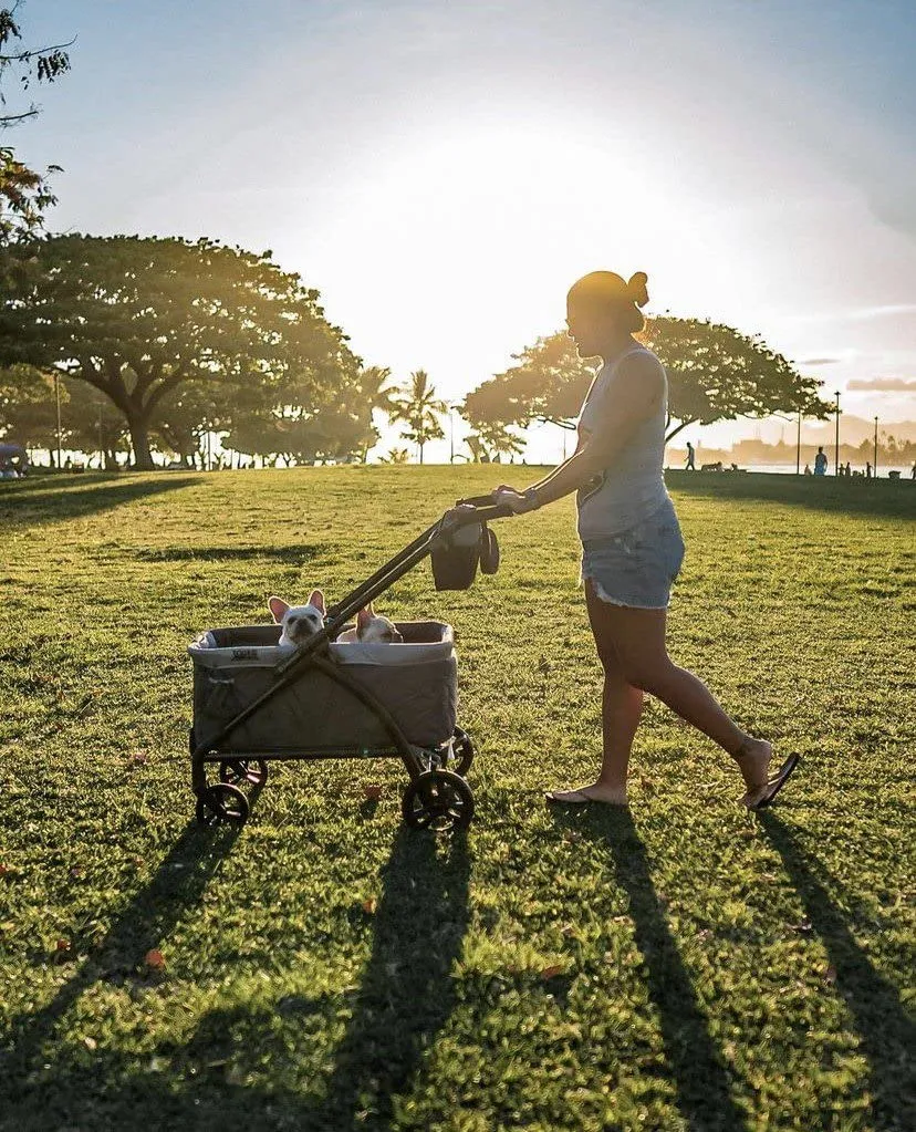 Baby Trend Expedition 2-in-1 Stroller Wagon PLUS, Ultra Marine