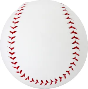 Baden Autograph Baseball, Official Size with Blank White Panels and Smooth Synthetic Cover Writing Surface (One Dozen)