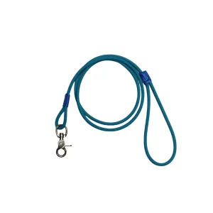 Biothane Dog Leash - Bahama Blue - 4' x 1/4" Thick