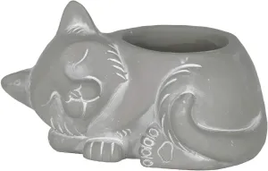 Classic Home and Garden Cement Buddies Animal Planter - Cute Desk Decoration - UV Coated Animal Vase w/Drain Plug - Succulent Plant Pot for Indoor/Outdoor Use (Cat Planter, Natural, Large)
