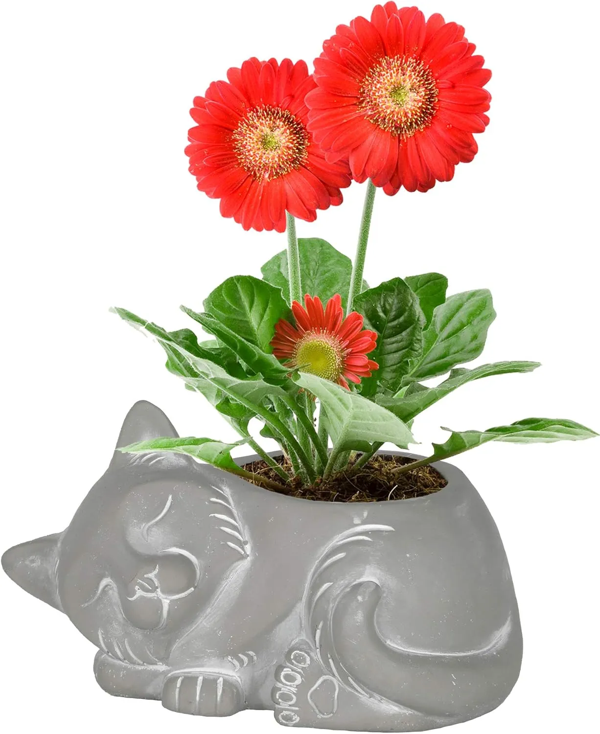 Classic Home and Garden Cement Buddies Animal Planter - Cute Desk Decoration - UV Coated Animal Vase w/Drain Plug - Succulent Plant Pot for Indoor/Outdoor Use (Cat Planter, Natural, Large)