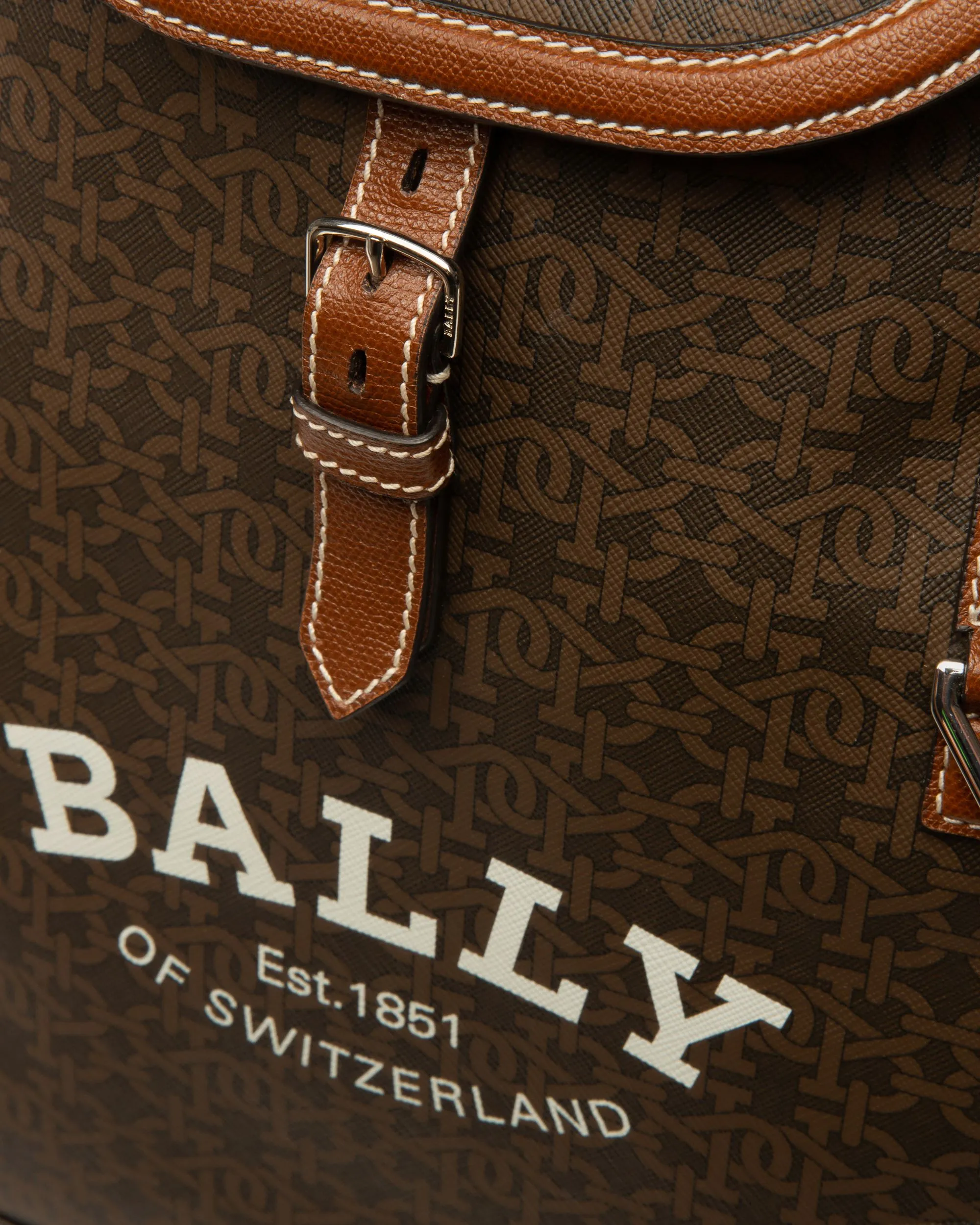 Cliford Small Tpu Backpack In Brown
