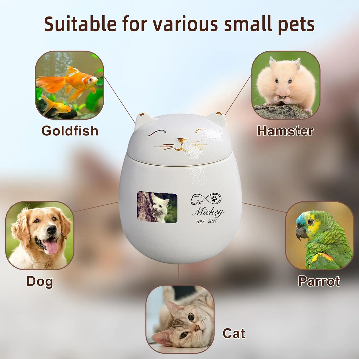 Custom Cat Urn Pet Cremation Urn for Ashes Ceramic Urn Personalized Urn Customizable in Photo and Name Small Memorial Ashes Holder (White)