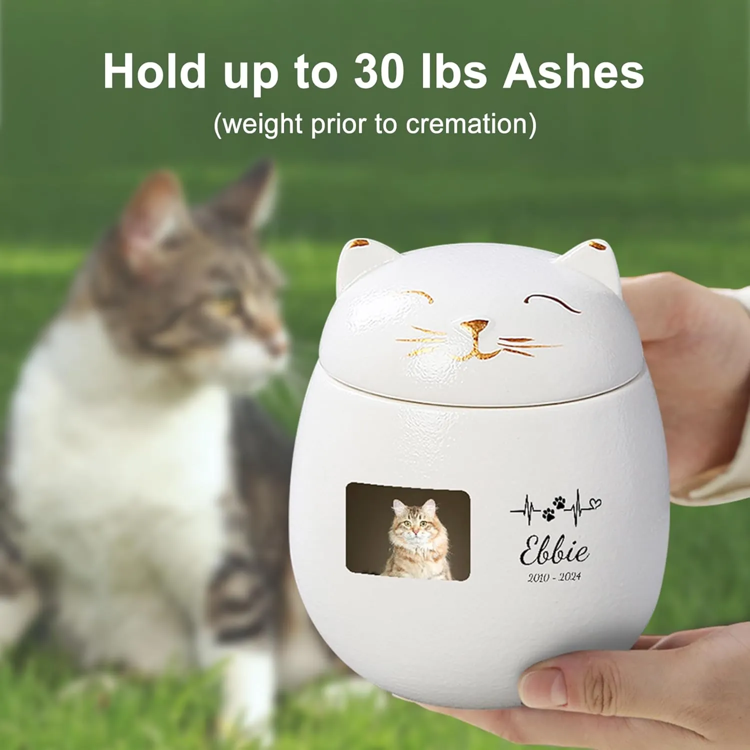 Custom Cat Urn Pet Cremation Urn for Ashes Ceramic Urn Personalized Urn Customizable in Photo and Name Small Memorial Ashes Holder (White)