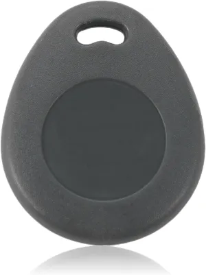 CZHQWNTZ 100pcs 26Bit Proximity Key Fobs, Grey, 125khz, H10301 Format, Customizable, Compatible with ISOProx 1386/1326 Readers