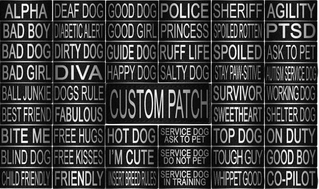 Dogline Custom Reflective Patch for Vest Harness Or Collar Customizable Text Personalized Patches with Hook Backing Name Service Dog in Training Emotional Support 2 Patches - 3" x 8"
