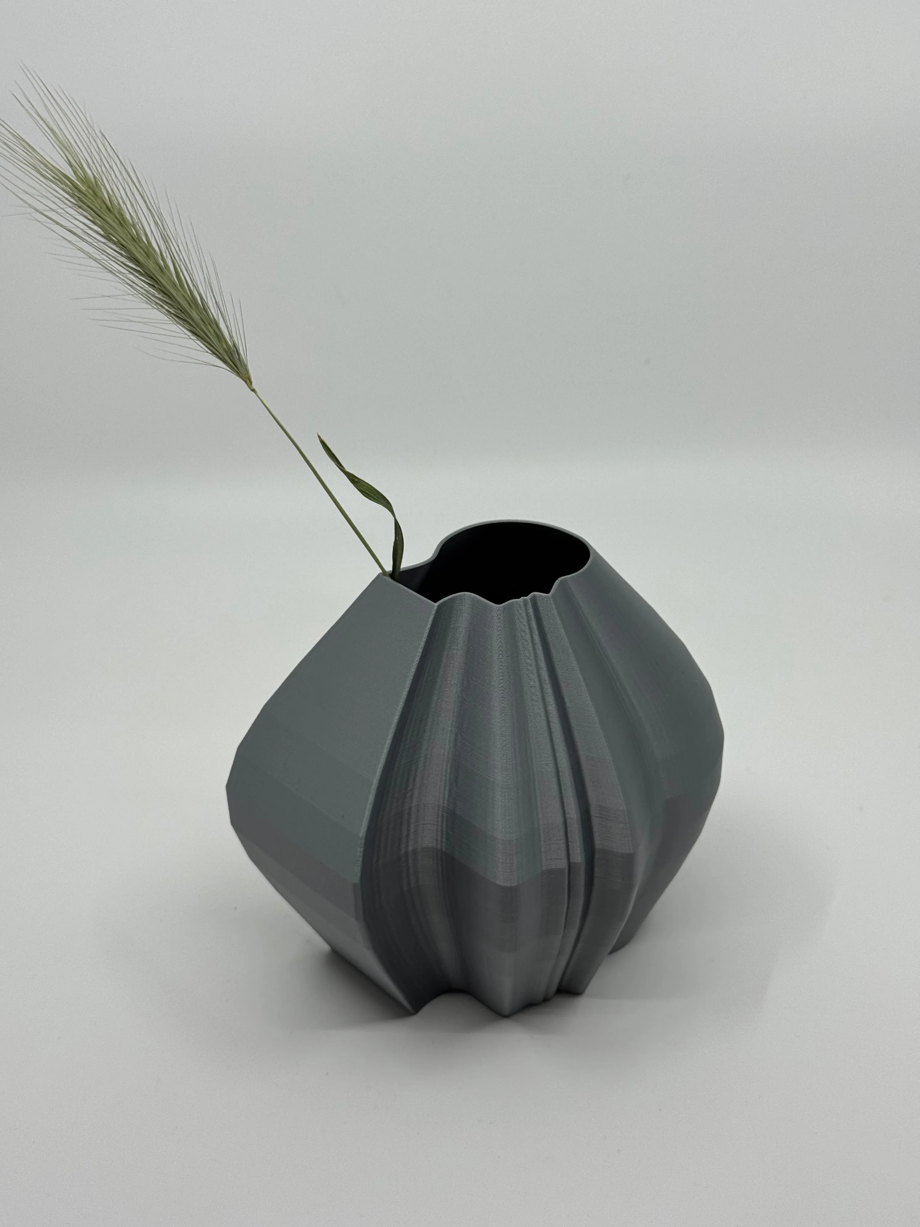 Eco of Thought - 3D Printed Modern Art