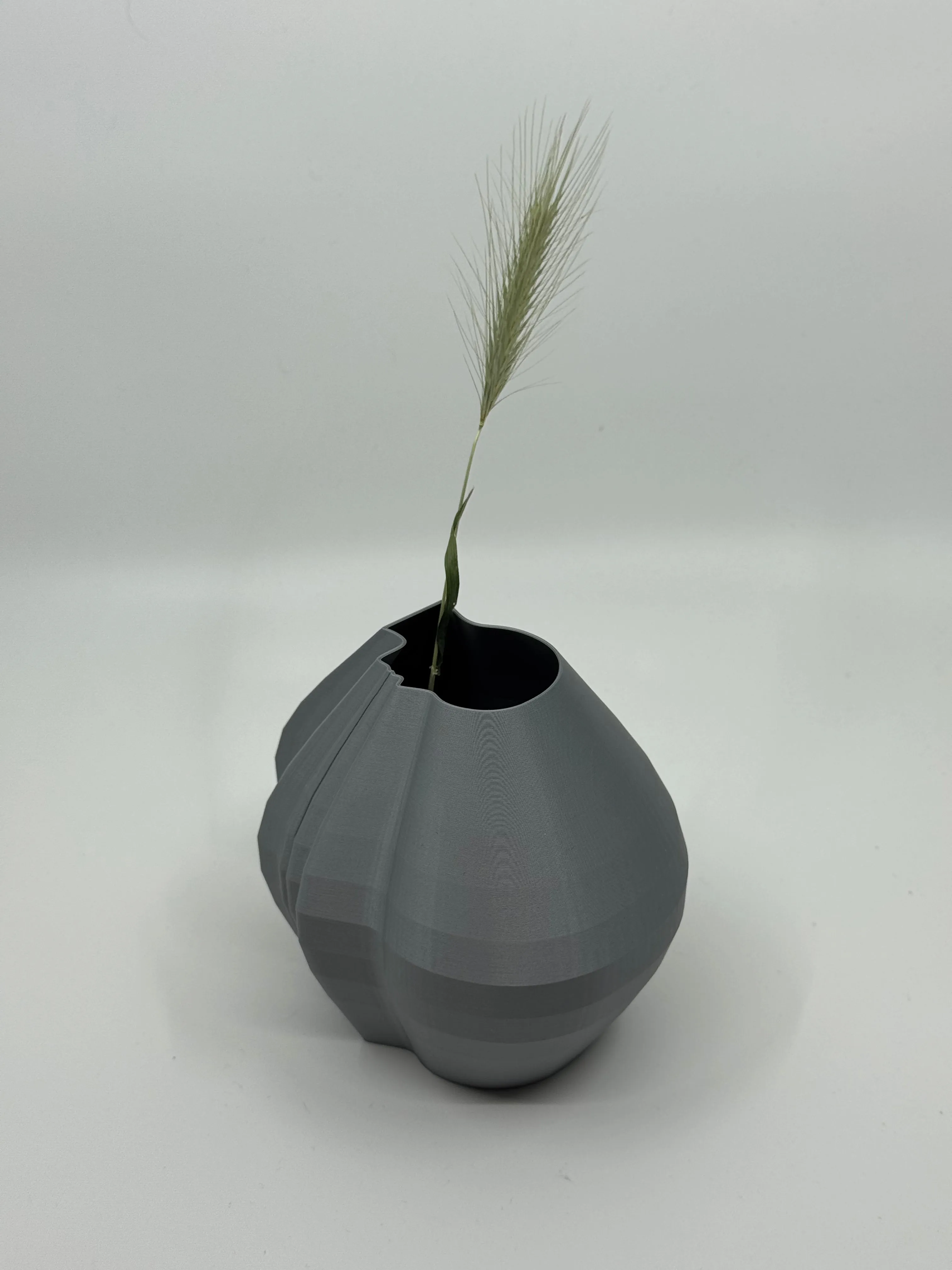 Eco of Thought - 3D Printed Modern Art