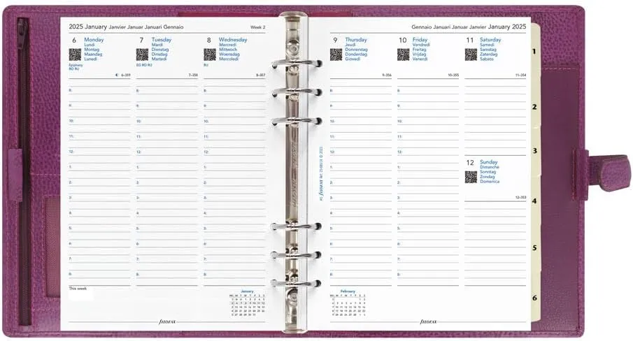 Filofax Finsbury Organizer, A5 Size, Raspberry - Traditional Grained Leather, Six Rings, Week-to-View Calendar Diary, Multilingual, 2025 (C025371-25)