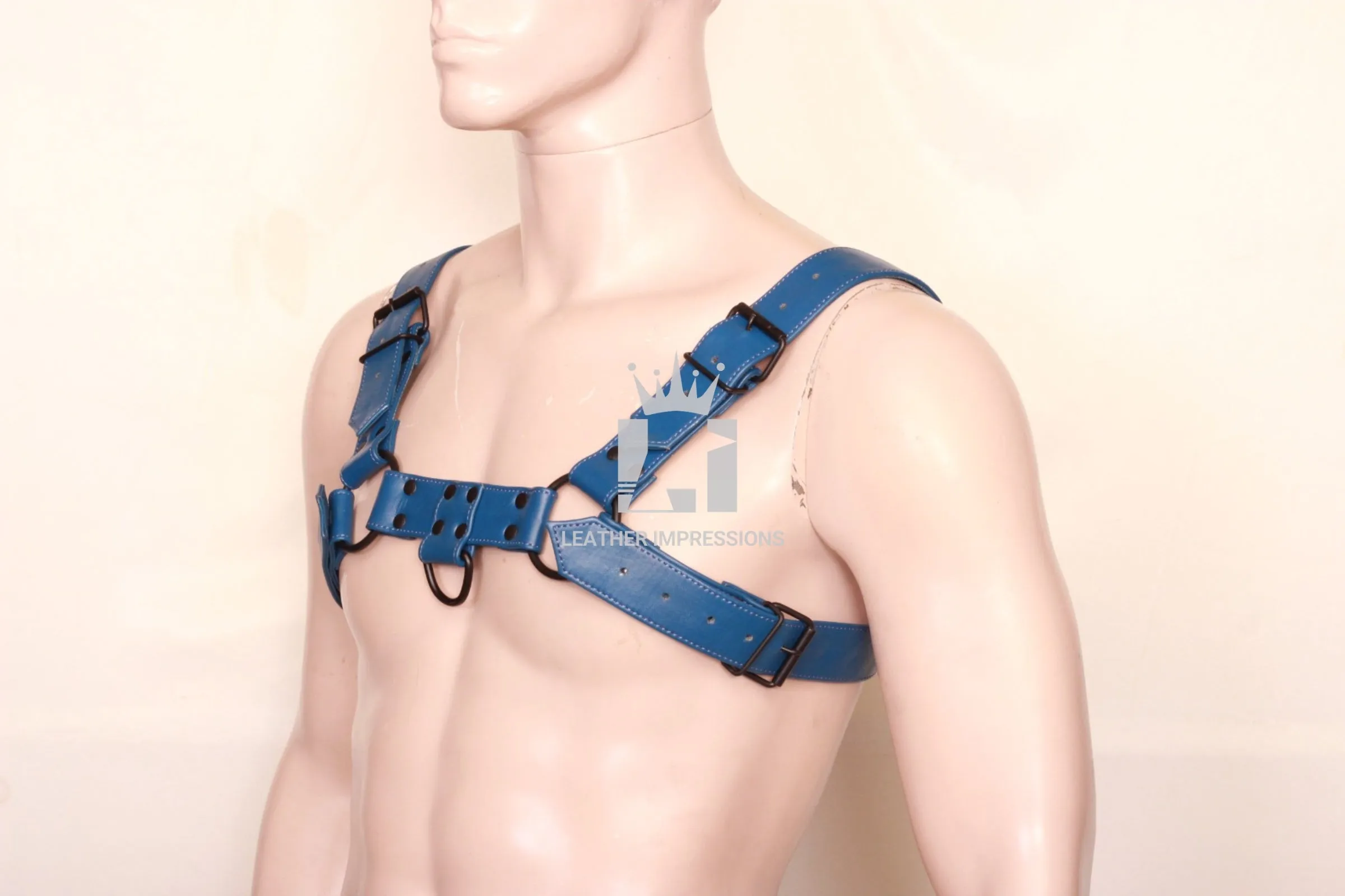 Gay Leather Harness