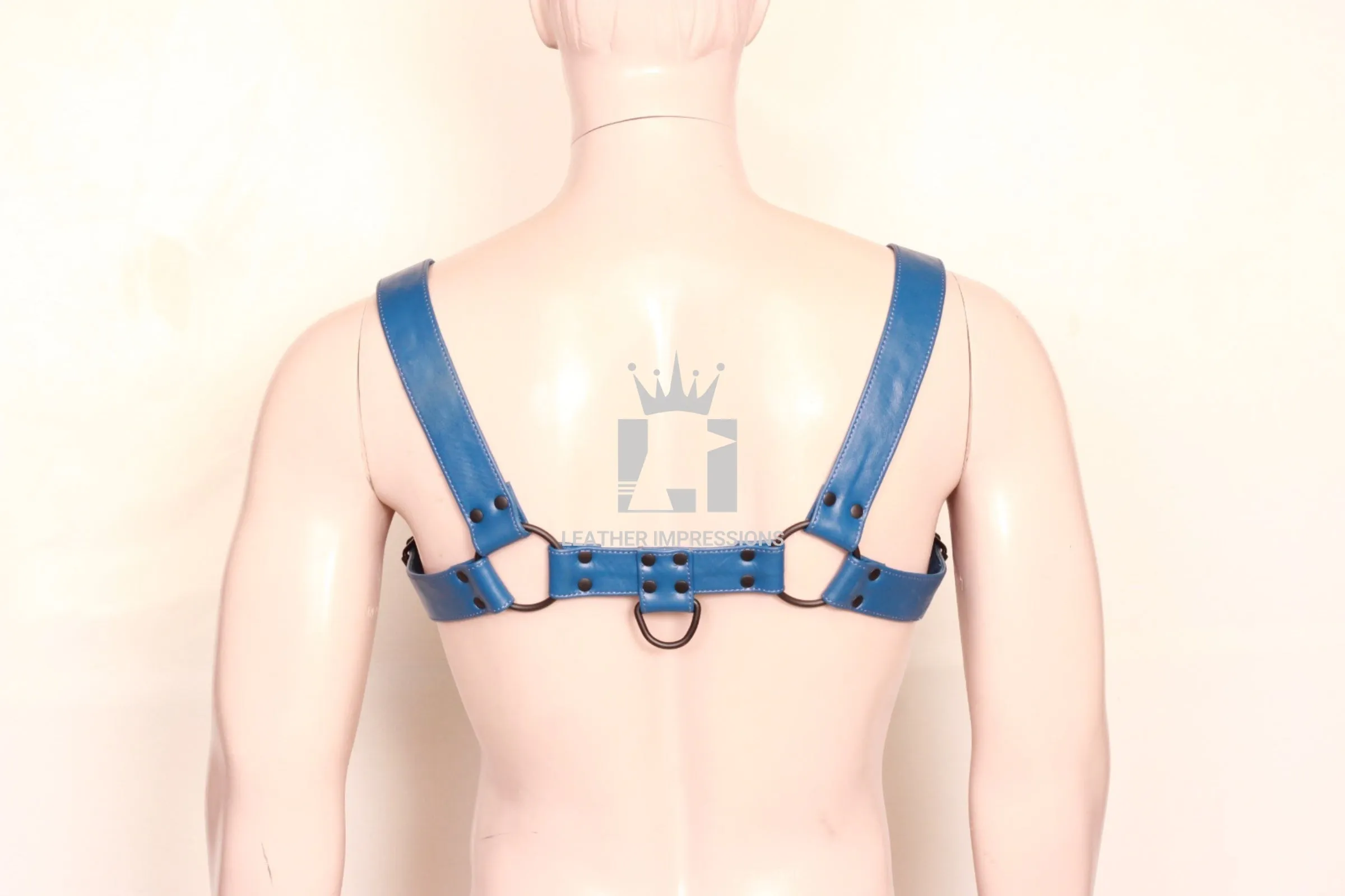 Gay Leather Harness