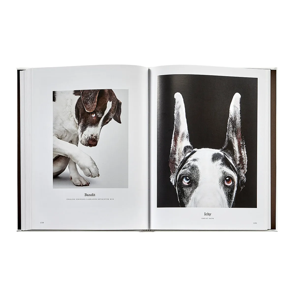 Good Dog / Hand Bound Leather Book