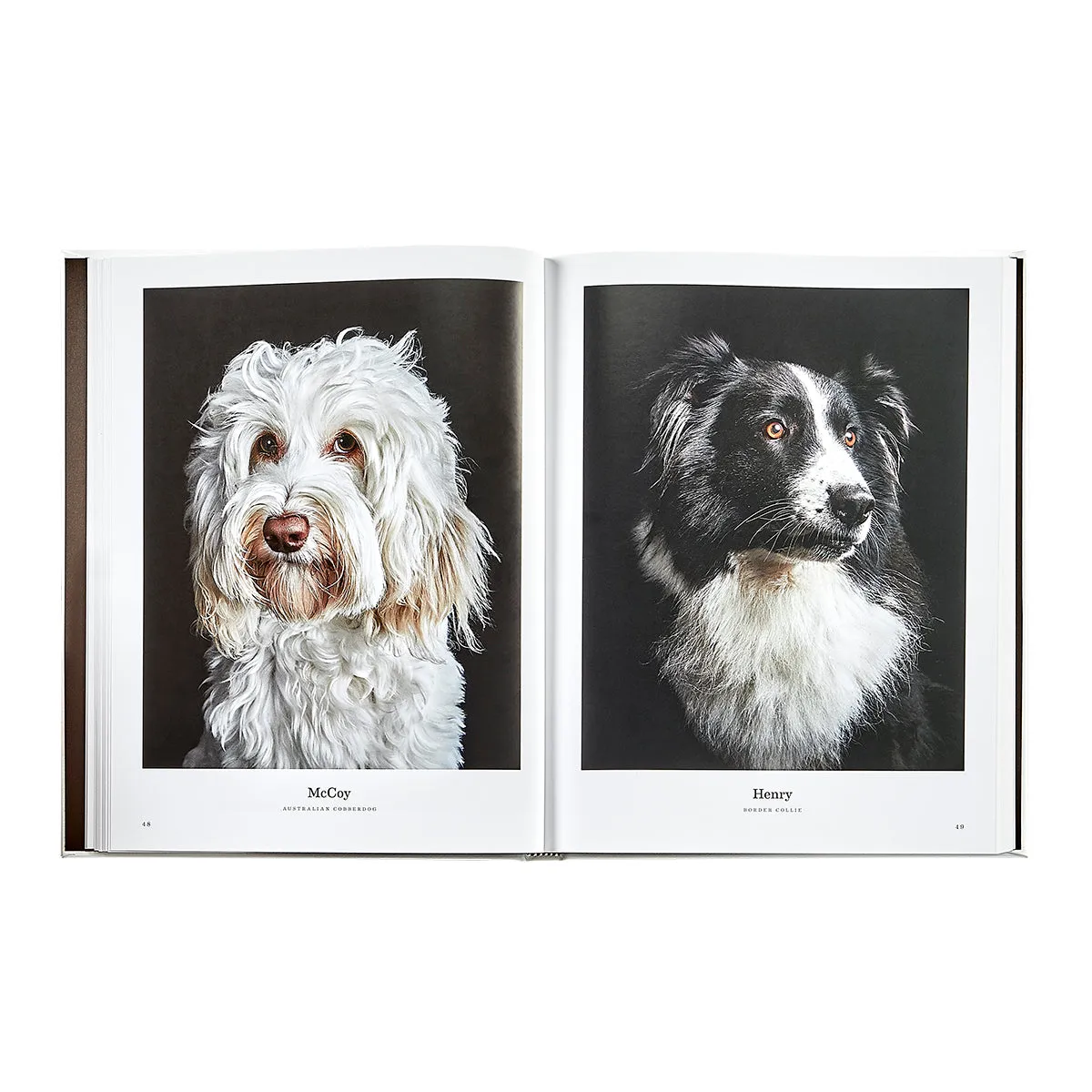 Good Dog / Hand Bound Leather Book