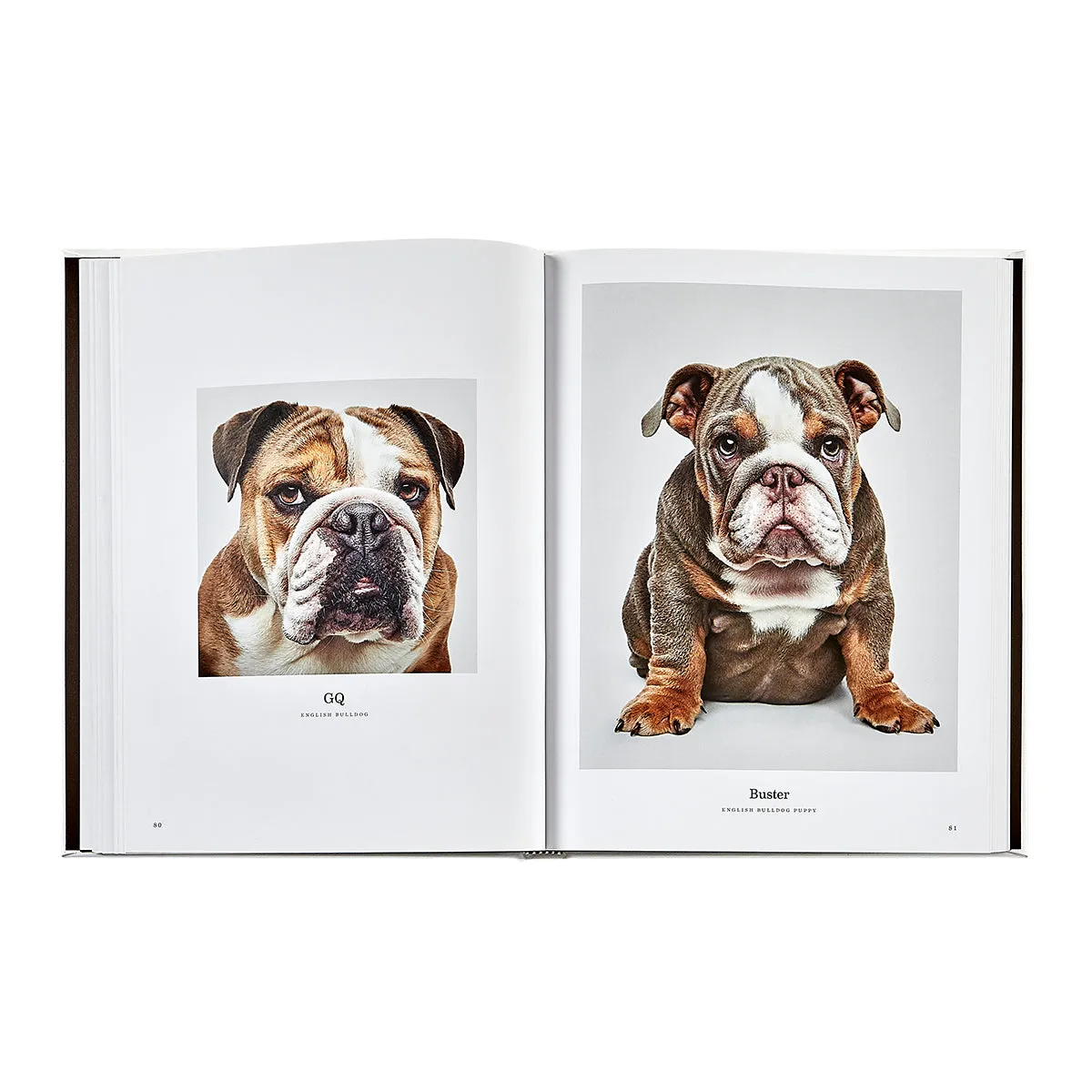 Good Dog / Hand Bound Leather Book
