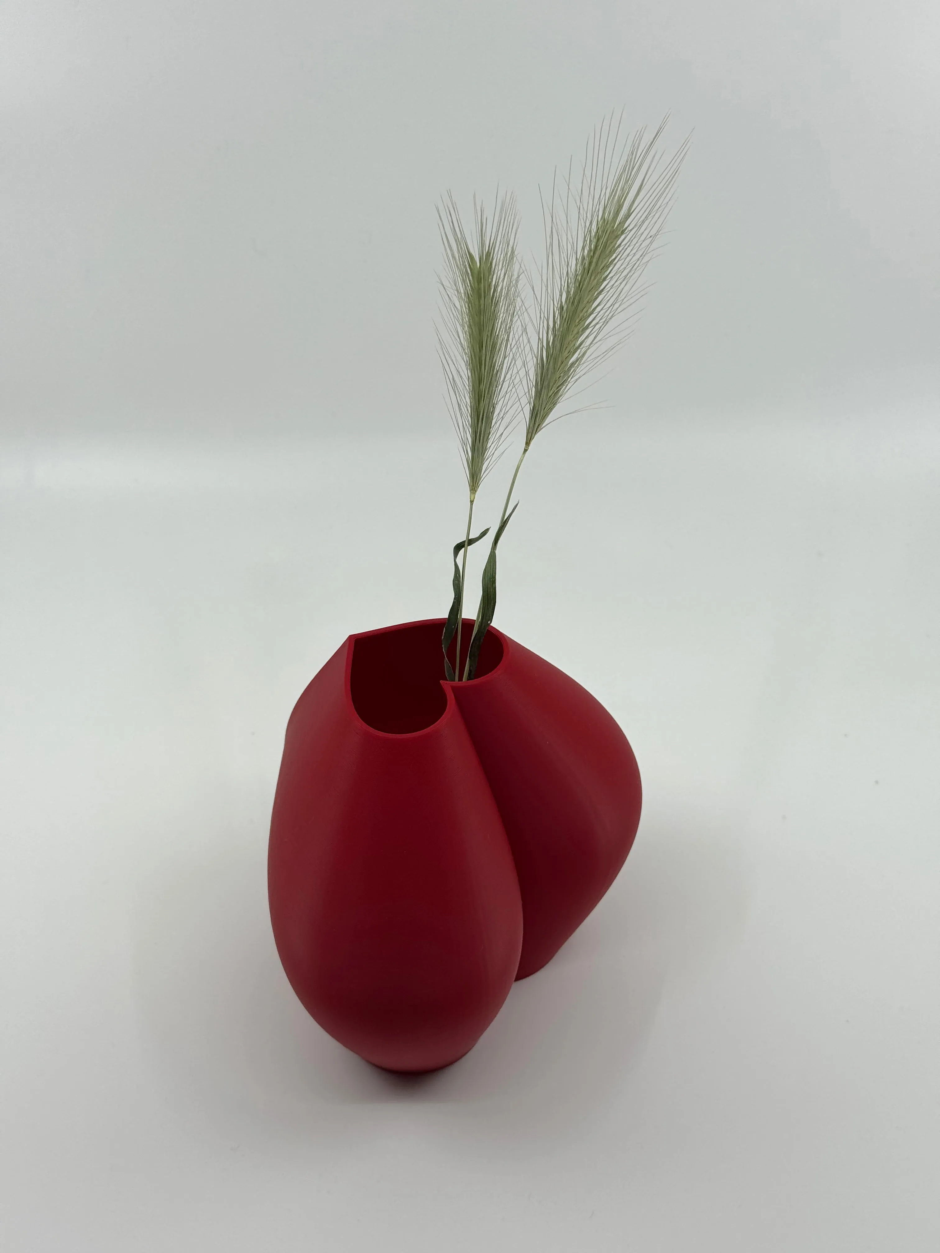 Heart-Shaped 3D Printed Vase