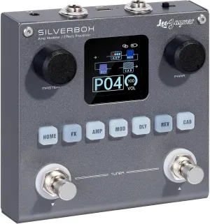 Leo Jaymz Portable Multi-Effects Guitar/Bass Amplifier Modeler Effects Processor with 6 Effects Modules, 80 Editable Presets & Rechargeable Battery