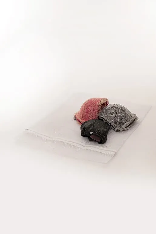 Lingerie Washing Bag (large)