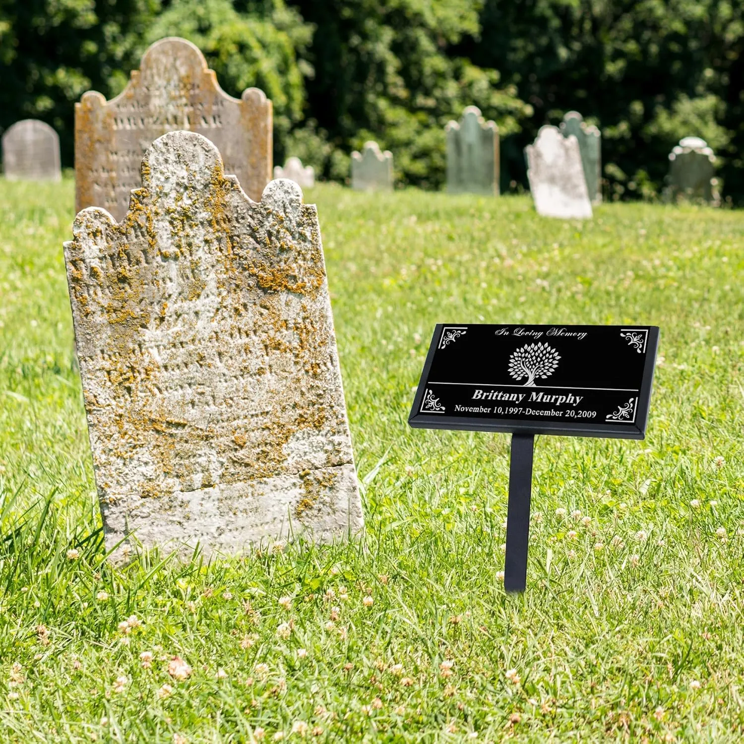 ODB Personalized Tombstones for Graves with Photo Name, Headstones for Graves for Human, Grave Markers for Cemetery for Humans 12x6 inches (30x15cm)