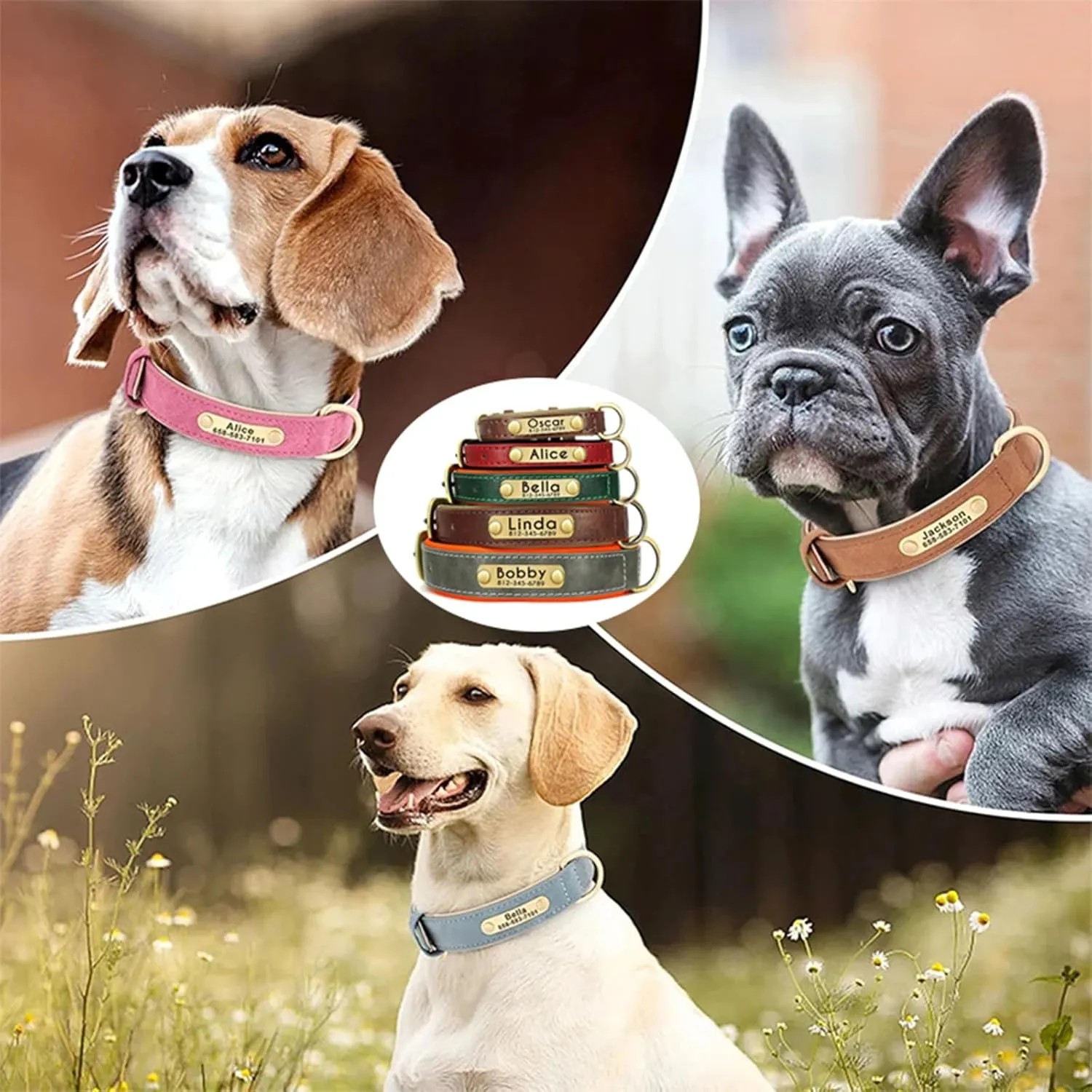 Personalized Custom Leather Dog Collar Adjustable Customizable Dog Collar for Small Medium Large X-Large Custom Engravable Name Plate (Orange)