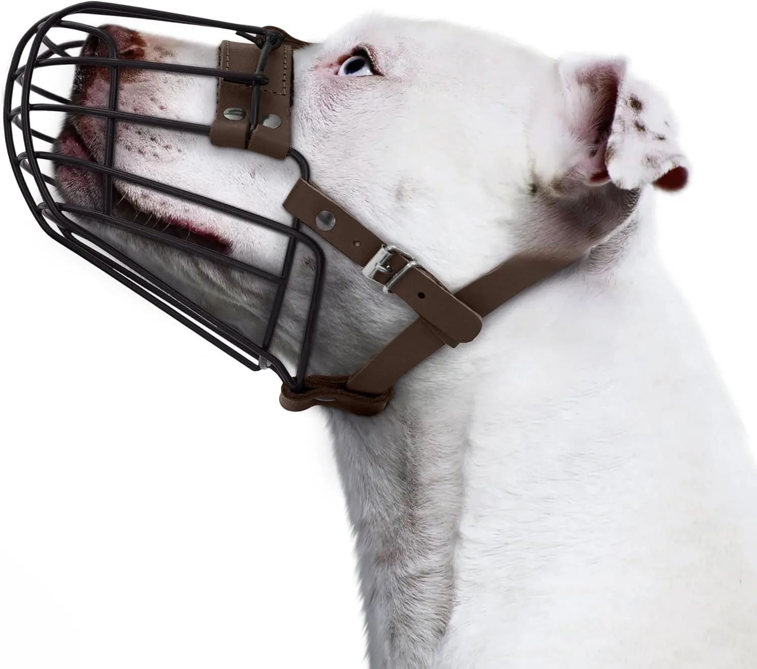 Pitbull Dog Muzzle Breathable Metal Basket for Large Dogs Amstaff Staffordshire Terrier Secure Wire Mask Adjustable Durable Leather Straps Biting Chewing Barking (Large, Dark Brown)