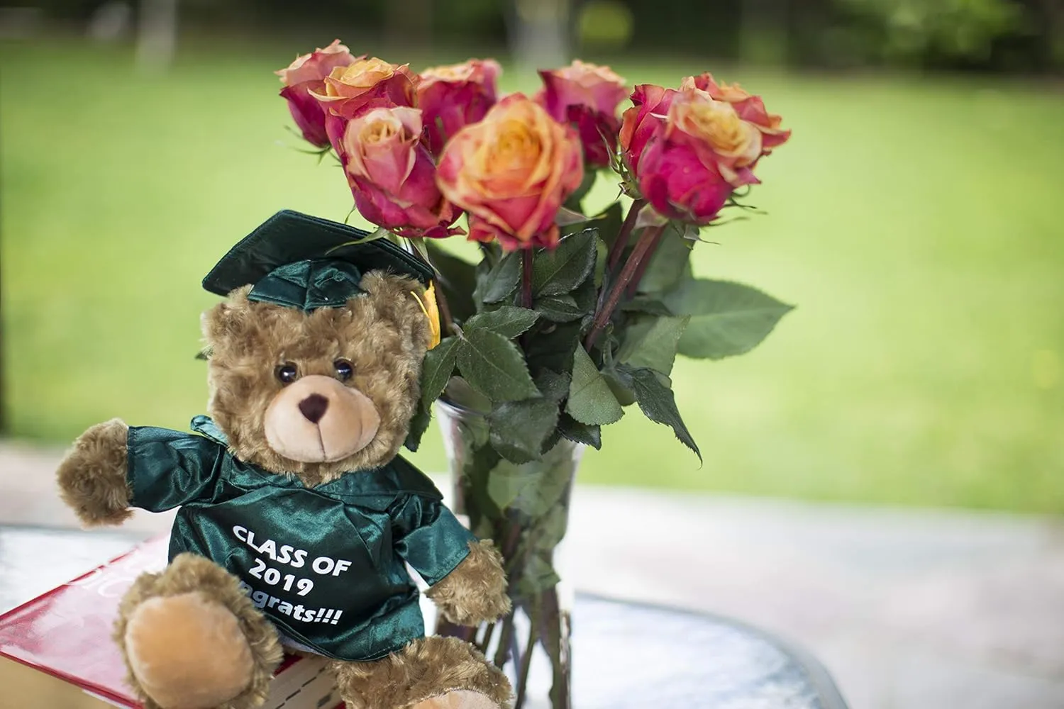 Plushland Plush Stuffed Animal Toys 12 Inches Present Gifts for Graduation Day, Personalized Text, Name or Your School Logo on Gown, Best for Any Grad School Kids (Black Gown)