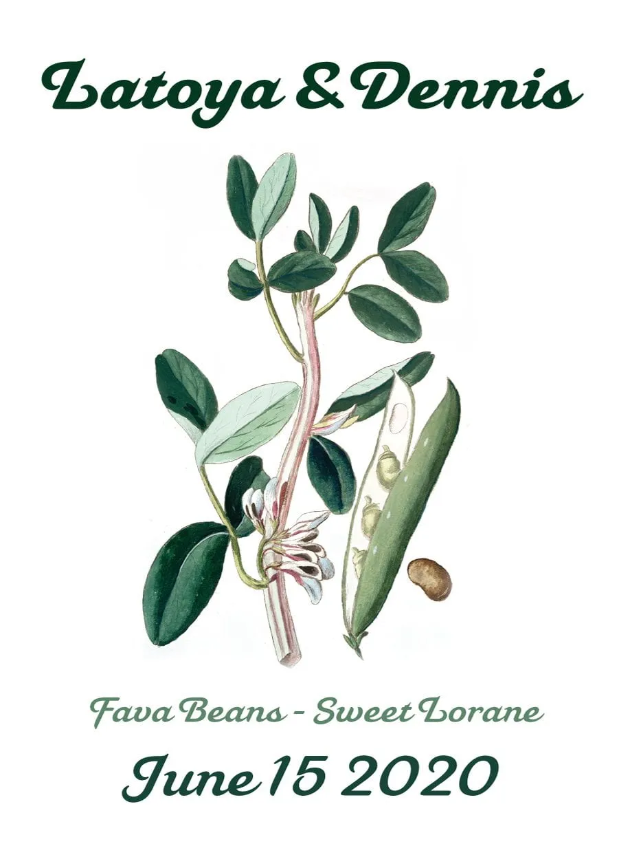 Pre-Designed Template - Fava Bean