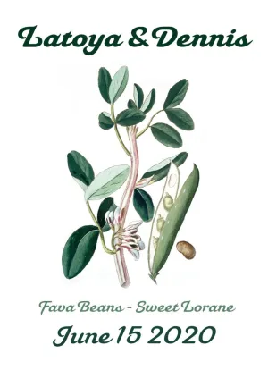 Pre-Designed Template - Fava Bean