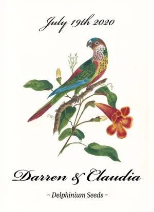 Pre-Designed Template - Parakeet