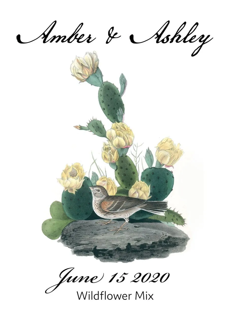 Pre-Designed Template - Prickly Pear Cactus