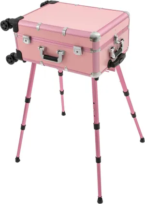 Professional Salon Trolley,Rolling Makeup Train Case,Large Make up Cosmetic Orgainzer with Lighted Mirror,12V Cosmetic Travel Case with 3Color Lights