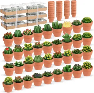 Shihanee 36 Pcs Decorative Succulent Cactus Tealight Candle Set - Handmade Mini Terracotta Clay Holders for Baby Shower Wedding(Red)