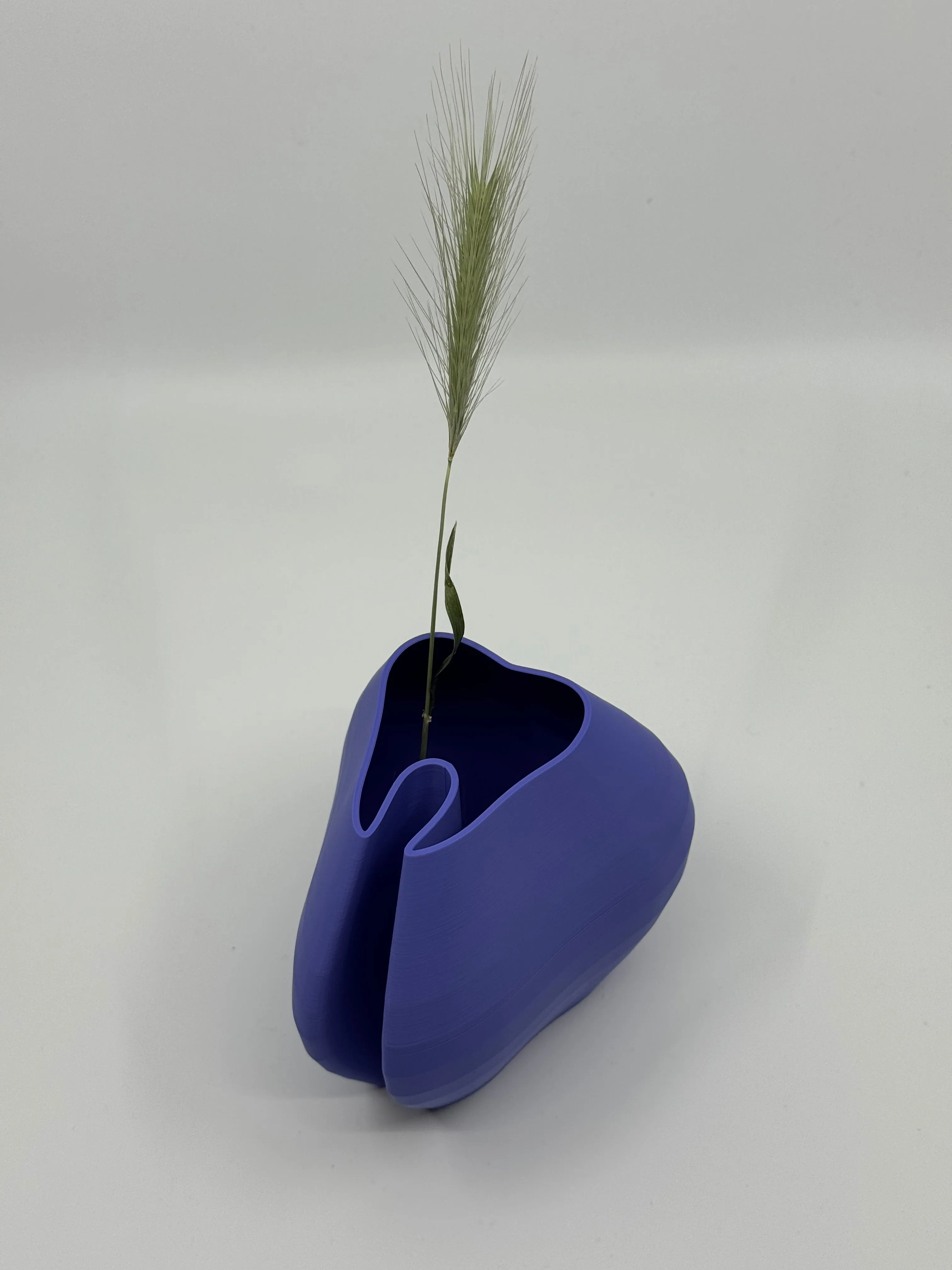 Smile & Grow - 3D Printed Tooth Vase