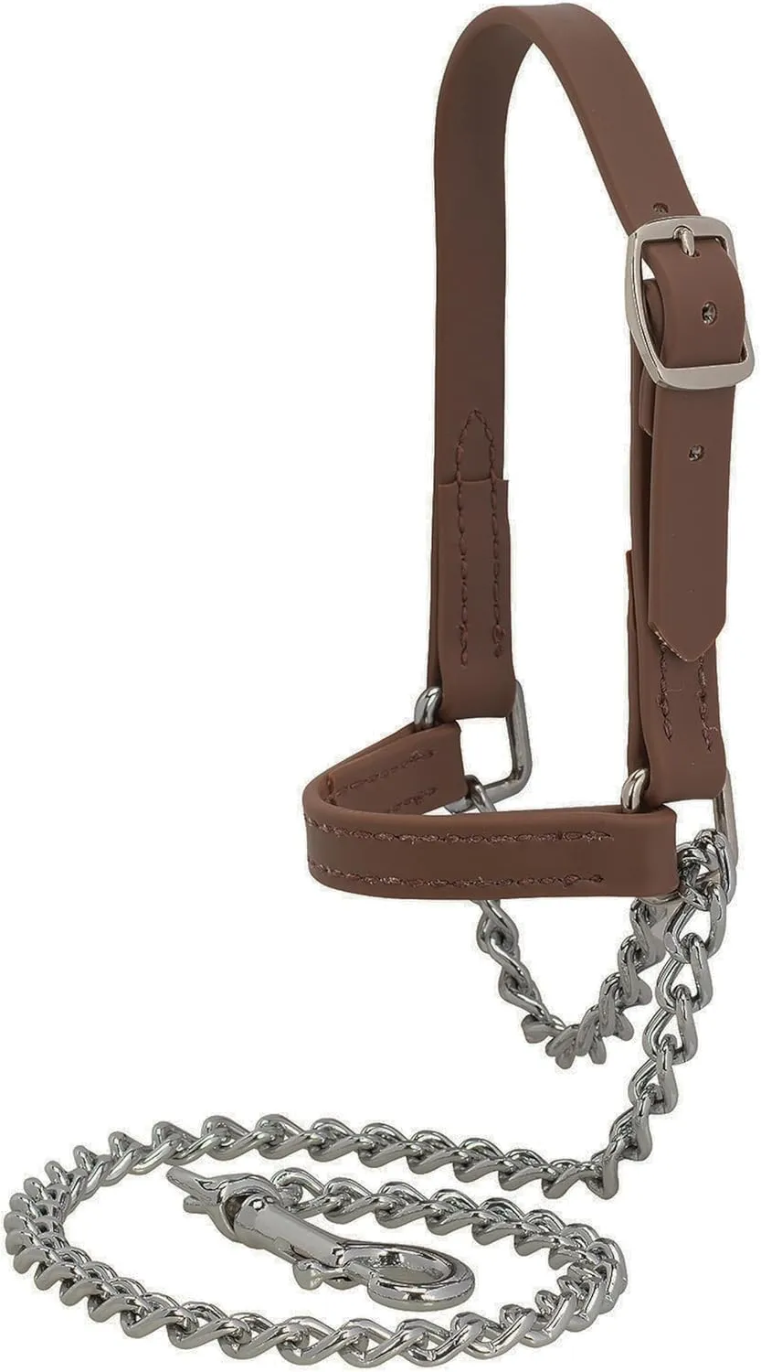 Weaver Leather Livestock Brahma Webb Goat Halter, Brown
