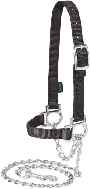 Weaver Leather Livestock Nylon Adjustable Sheep Halter with Chain Lead , Black