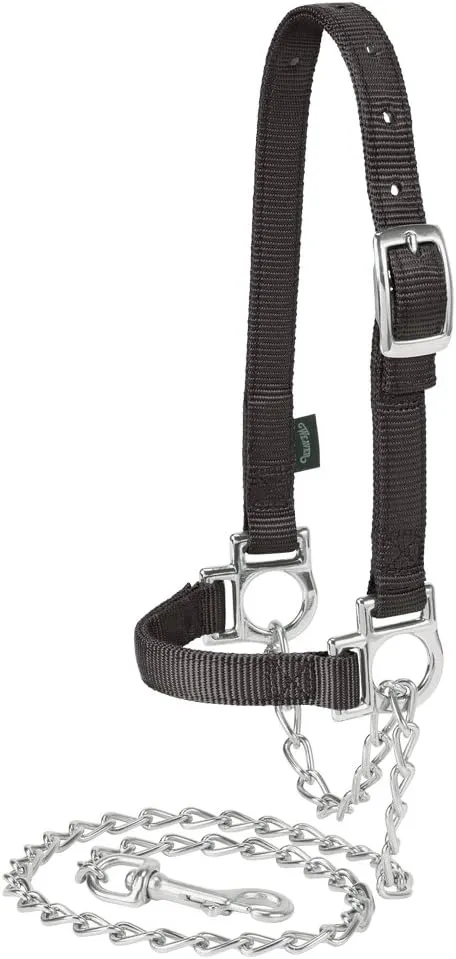 Weaver Leather Livestock Nylon Adjustable Sheep Halter with Chain Lead , Black