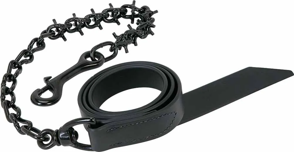 Weaver Leather Livestock Pronged Lead Chain , Black