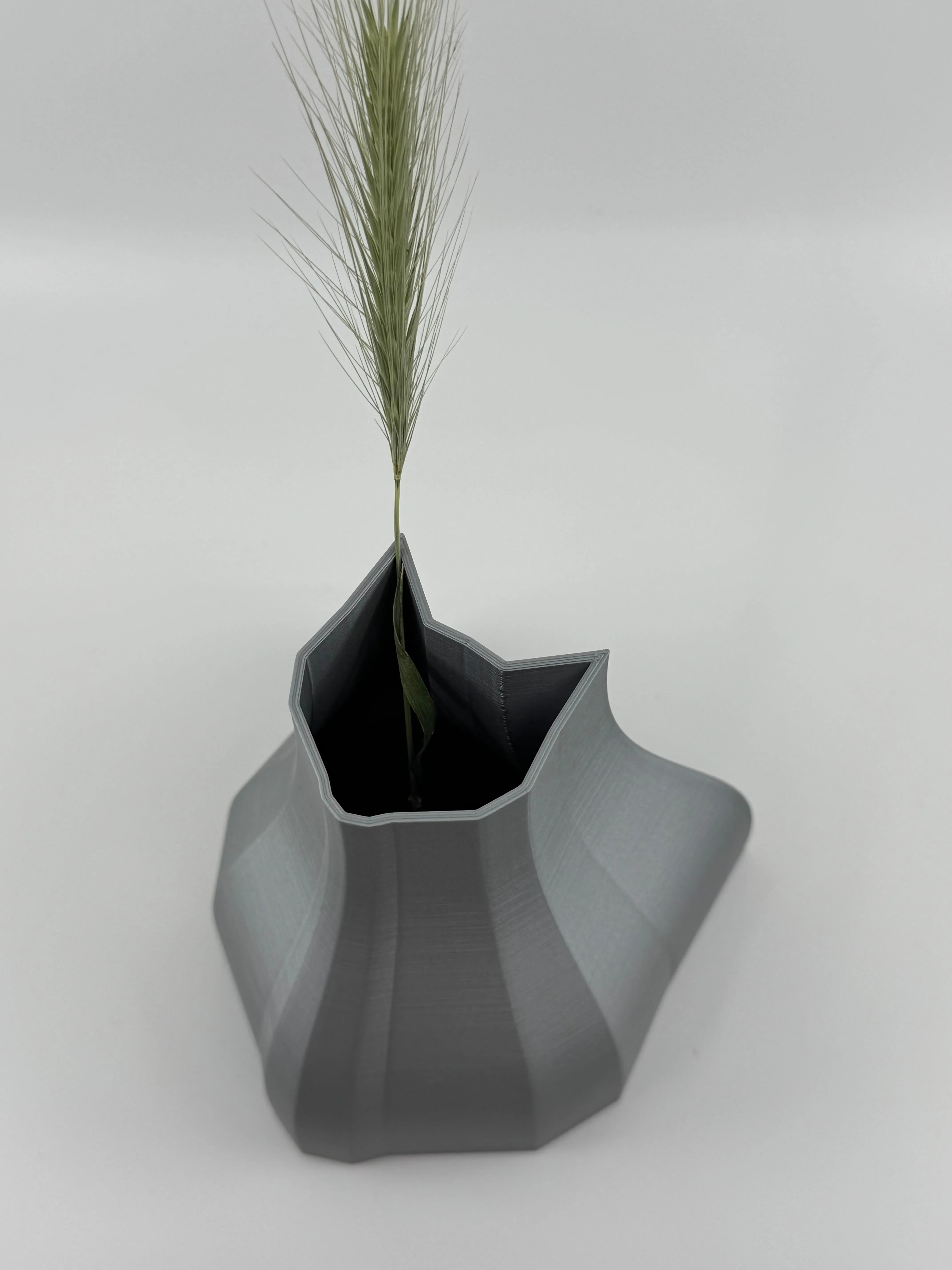 Whisker Bloom - 3D Printed Cat Inspired Vase