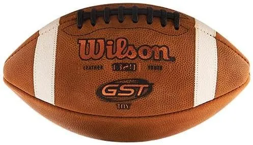 Wilson TDY GST Ball