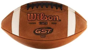 Wilson TDY GST Ball